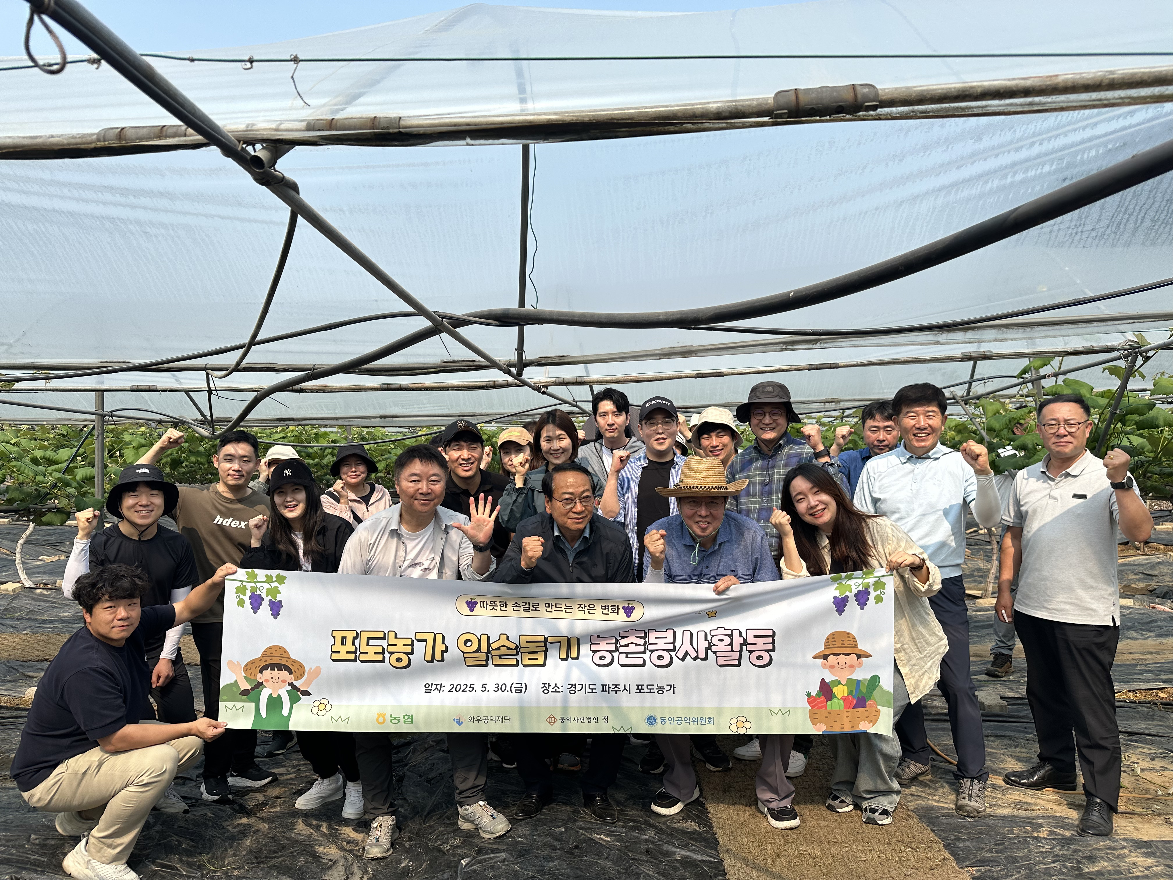 화우·바른·동인, 포도농가 일손 돕기 봉사활동 함께 진행